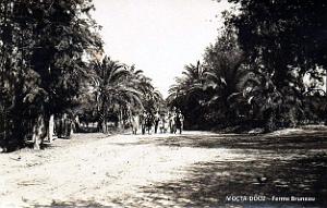1185- Mocta Douz - La Ferme Bruneau